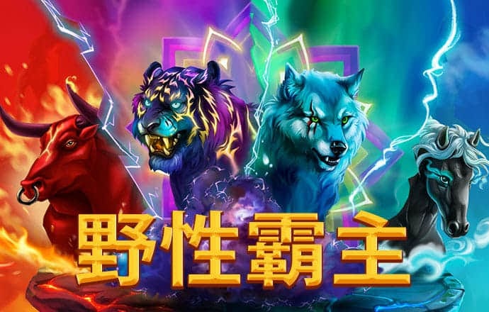 风云体育app下载